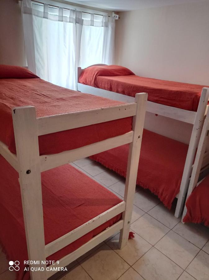 Calafate Viejo *
