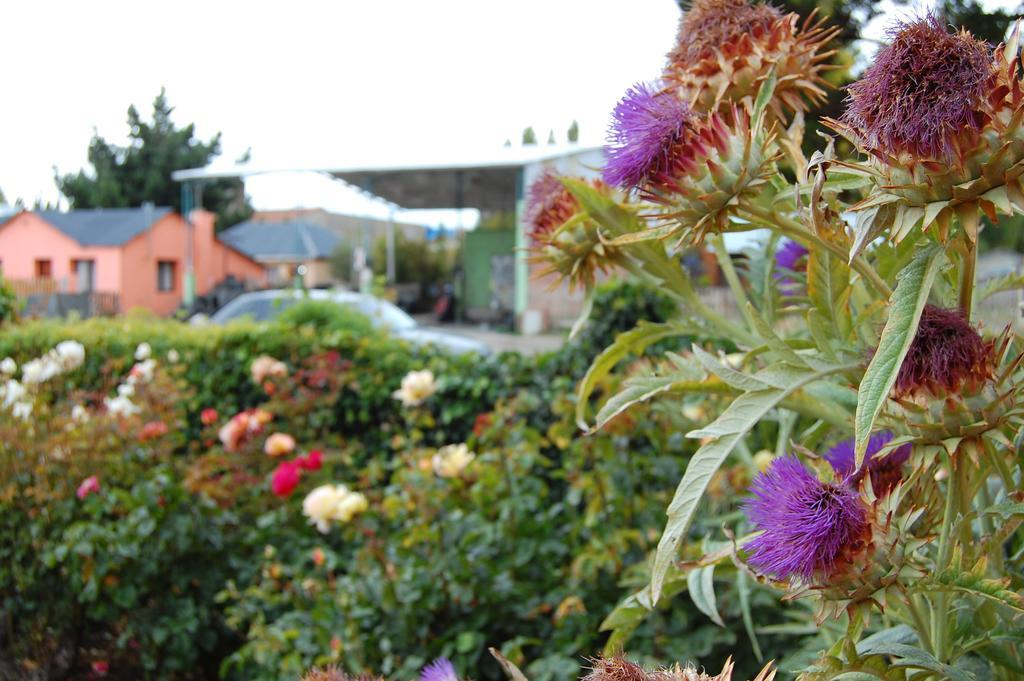Hostal Calafate Viejo