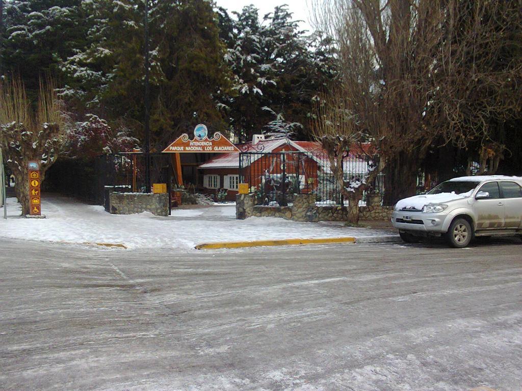 Calafate Viejo *